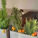 Ferienhaus Chez Netty Avec Sauna A