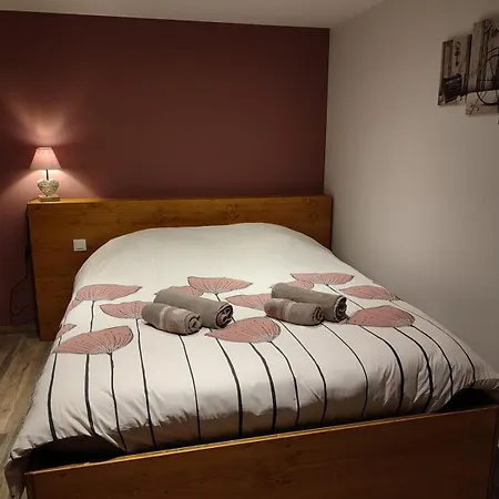 Chez Netty Avec Sauna A Beblenheim
