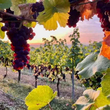 Chez Netty Avec Sauna A Feriehus *