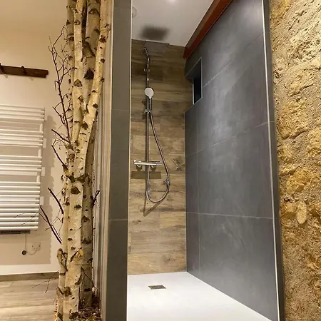 Holiday home Chez Netty Avec Sauna A Beblenheim