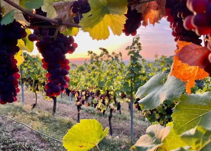 Chez Netty Avec Sauna A Feriehus *